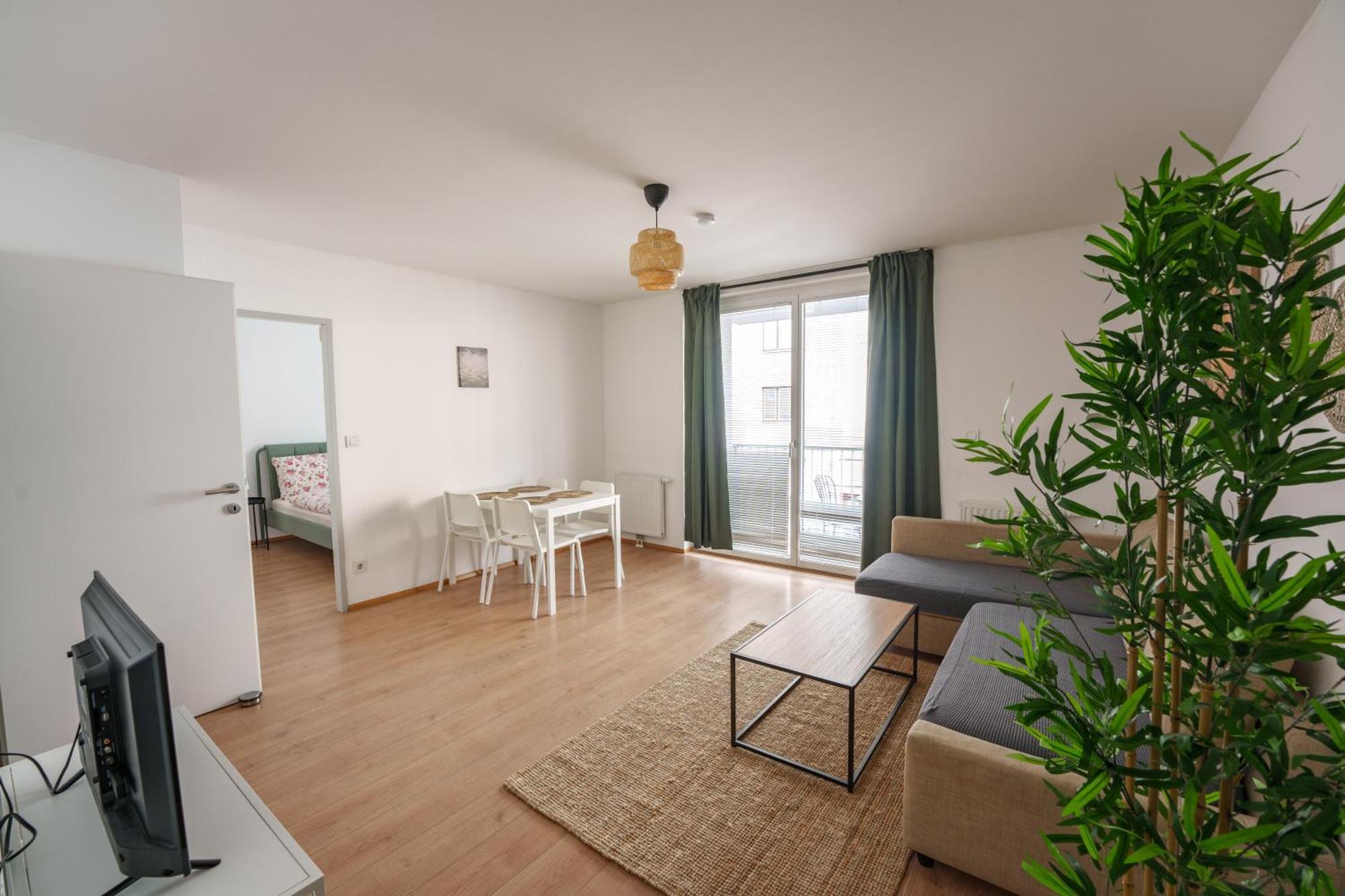 Apartment 1100